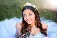Desiree 15